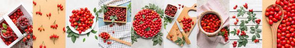 Collection of healthy rose hip berries, top view - Photo, Image