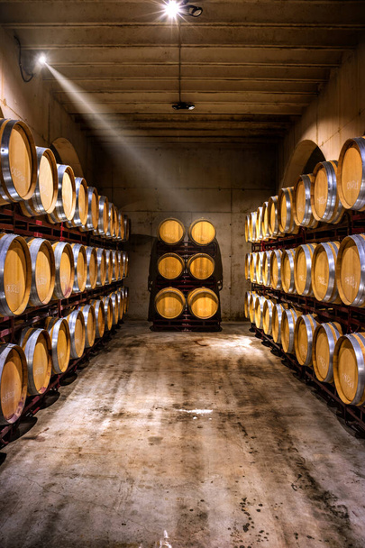 Wine cellar. Wine barrels in a winery in Spain. Vertical view. - Photo, Image