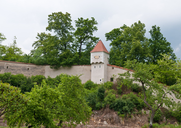 Mur du monastère en Autriche
 - Photo, image