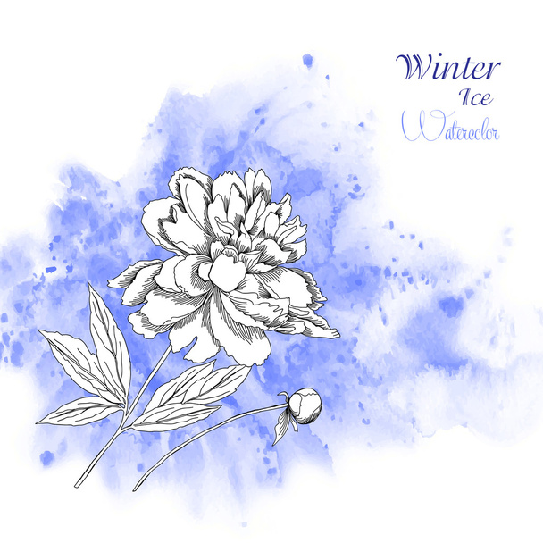 Background  with watercolors and flowers-07 - ベクター画像