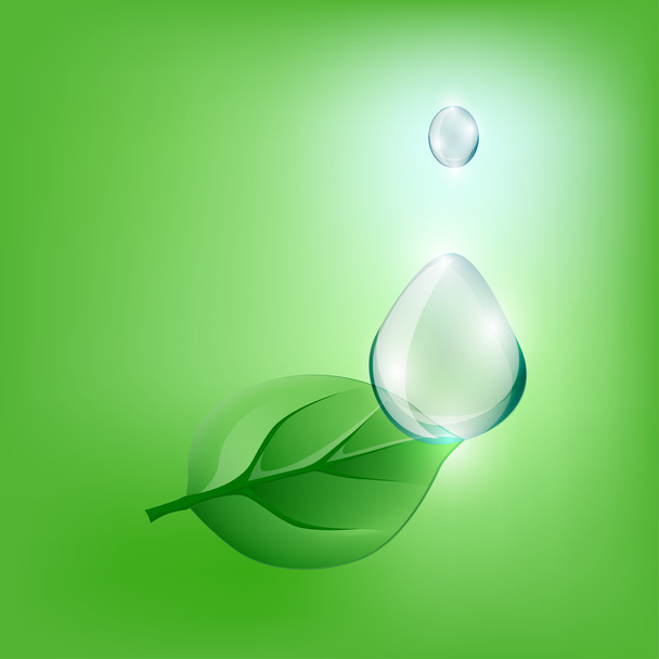 Зелений лист і краплі
 - Вектор, зображення