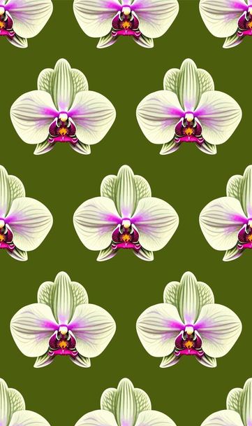 Yeşil, botanik illüstrasyonunda kusursuz orkide deseni - Vektör, Görsel