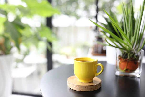 Copo de café amarelo e caderno e vaso de plantas - Foto, Imagem