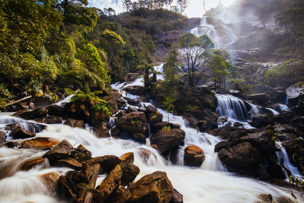 Водоспад Святого Колумба - один з найвищих водоспадів Тасманії в теплий весняний день у П "єнгані (Тасманія, Австралія). - Фото, зображення