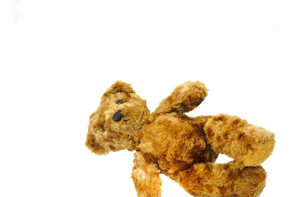 Urso de peluche
 - Foto, Imagem