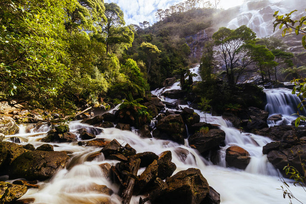 Kultowy i popularny wodospad St Columba Falls, który jest jednym z najwyższych wodospadów w Tasmanii w ciepły wiosenny dzień w Pyengana, Tasmania, Australia - Zdjęcie, obraz