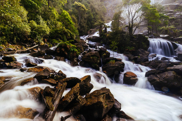 Kultovní a populární St Columba Falls, který je jedním z nejvyšších vodopádů v Tasmánii v teplém jarním dni v Pyengana, Tasmánie, Austrálie - Fotografie, Obrázek