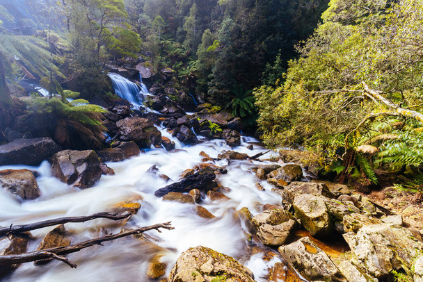象徴的で人気のある聖コロンバ滝は、オーストラリアのタスマニア州ピエンガナの暖かい春の日にタスマニアで最も高い滝の1つです。 - 写真・画像