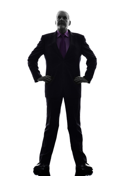 senior business man silhouette - Fotoğraf, Görsel