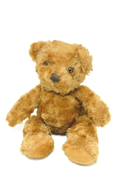 Teddy bear - Photo, Image