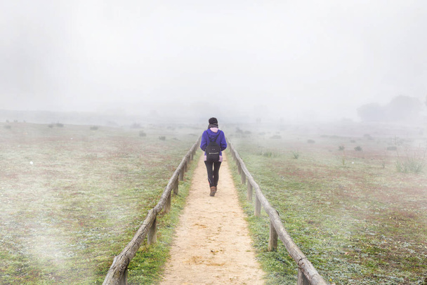 Traveler woman walking alone on a field surrounded by fog. Alone woman from back walking through the fog in forest. - 写真・画像