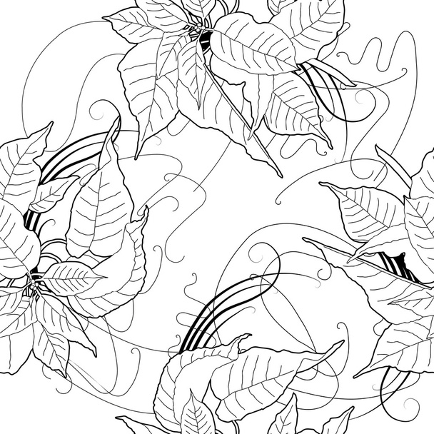 Seamless pattern with black and white poinsettia - Vektor, obrázek