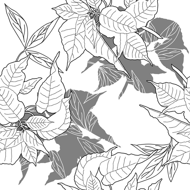 Seamless pattern with black and white poinsettia - Vektör, Görsel