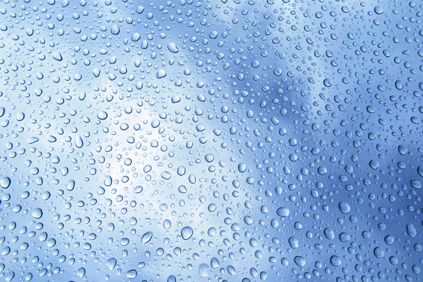Gotas de agua y lluvia
 - Foto, Imagen