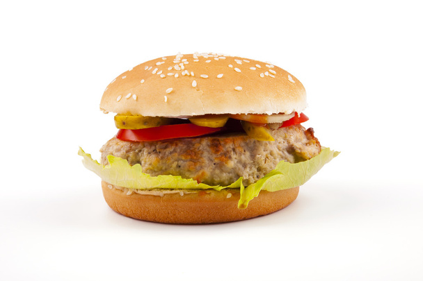 Hamburger isoliert auf weiß - Foto, Bild