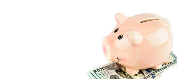 Dollars and piggy bank isolated on white background. Wide photo. Free space for text. Concept - business and finance. - 写真・画像