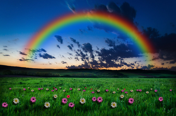 Beautiful rainbow background - Photo, Image