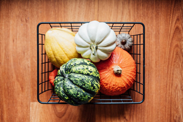 Sustainable Eco Friendly slow living Thanksgiving. Various Thanksgiving pumpkins in metal basket. Modern minimal basket with many decorative pumpkins. - Photo, Image