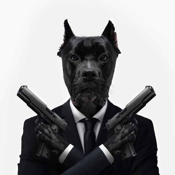 Obra de arte do cão assassino profissional segurando pistolas na raça bullterrier cross staffordshire. - Foto, Imagem