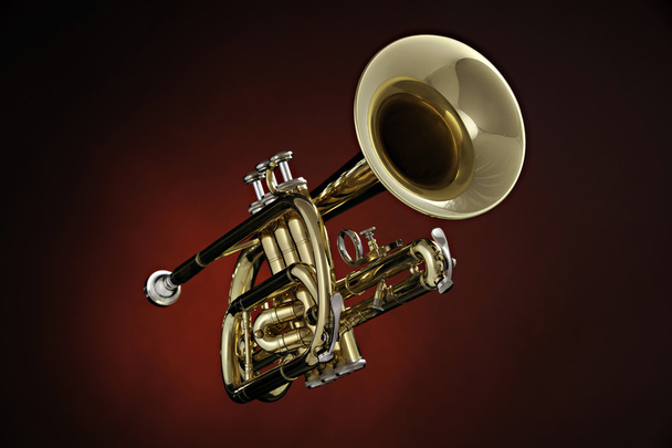 Cornet Trumpet Isolated on Red Spotlight - Photo, Image