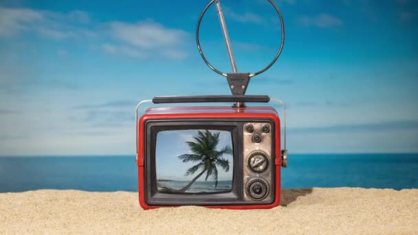 Een vintage televisie op het strand met een video van een palmboom erop - Video