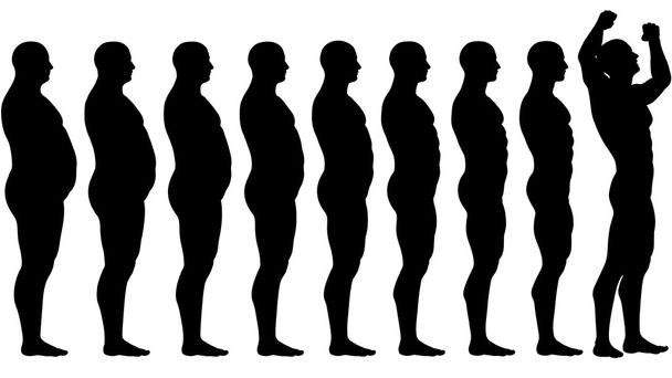 λίπος για να ταιριάζουν πριν μετά από δίαιτα απώλεια βάρους επιτυχία - Διάνυσμα, εικόνα