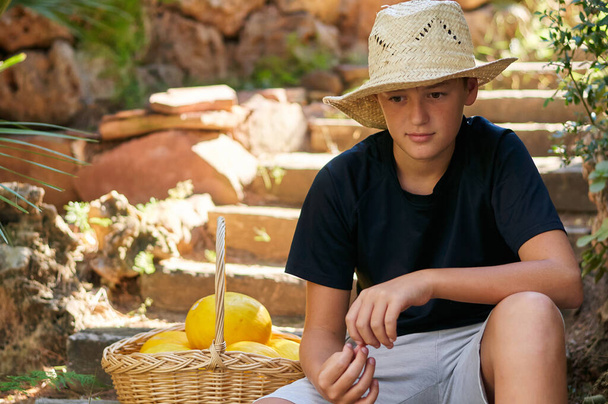 a boy in the village with a basket of juicy yellow melons - Foto, imagen