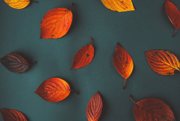 Vörös, sárga és narancssárga őszi levelek sötétzöld háttérrel. Szezonális fogalom. - Fotó, kép