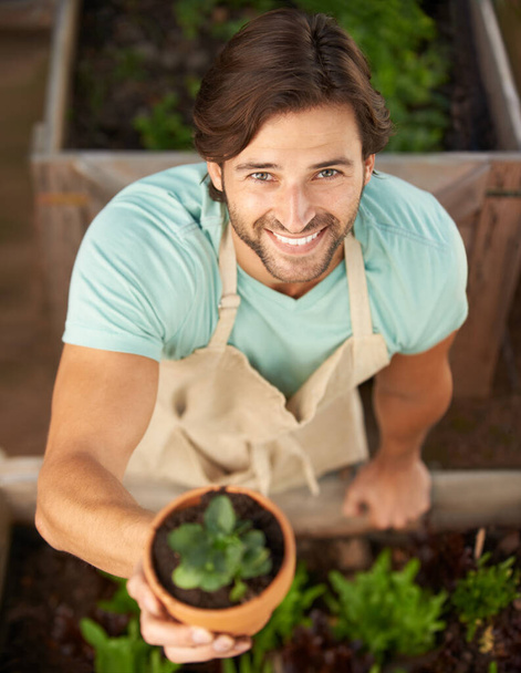 Pot plants - the perfect gift. A handsome man smiling as he offers you a potplant in a nursery setting - Foto, Bild
