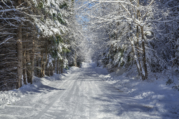 冬の田舎の風景 - 写真・画像