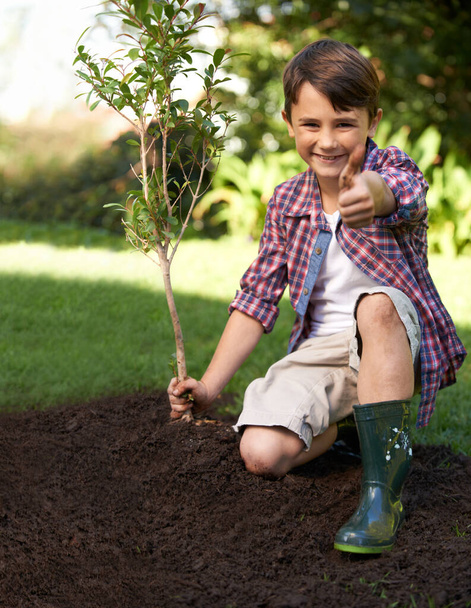 Zelená. Mladý chlapec ukazuje palce nahoru, zatímco stojí vedle mladého stromu v zahradě - Fotografie, Obrázek