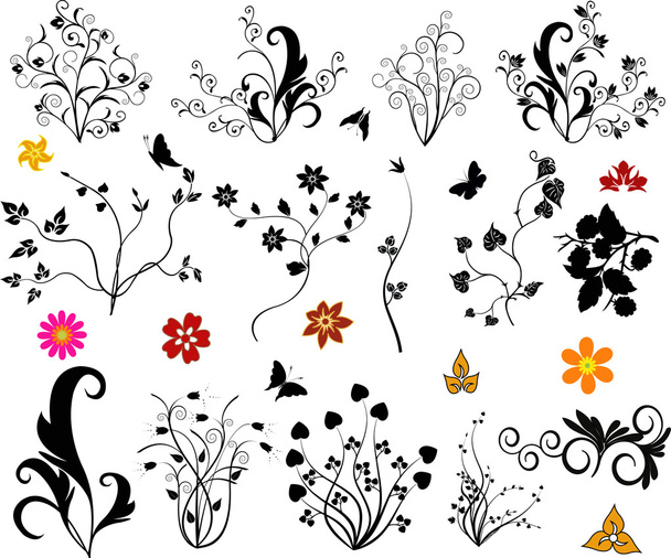 Set of floral elements vector - Вектор,изображение