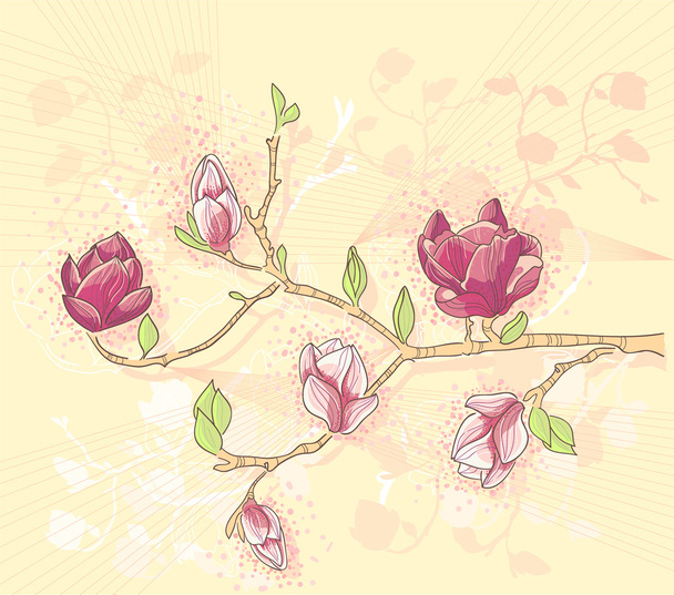 Astratto romantico fiore vettore sfondo con ramo di magnolia
 - Vettoriali, immagini