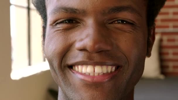 Happy, black man and portrait in startup office in Jamaica with smile excited to work. Young, friendly and satisfied business worker in workplace with passionate face expression macro - Footage, Video