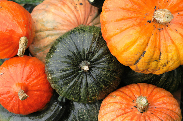 Pumpkin background - Photo, Image