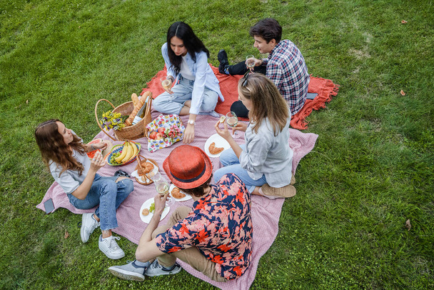 Shot of five students at picnic drinking and eating in natural summer park. - Фото, изображение