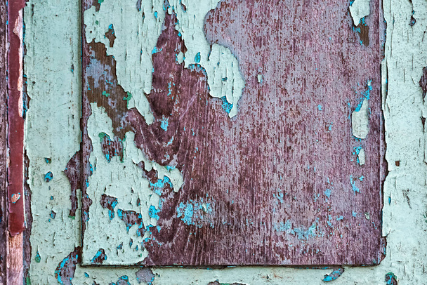 Colorful craquelure of the delaminated paint on wooden door background. Wooden texture background with old paint peels. Weathered wood. Cracked old paint with several layers. Shabby wooden wall. - Zdjęcie, obraz