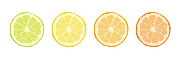 Vector Citrus Fruit Icon Set - Yellow Lemon, Green Lime, Orange Mandarin, Grapefruit. Round Slice Design Element Isolated on White Background. - Vetor, Imagem