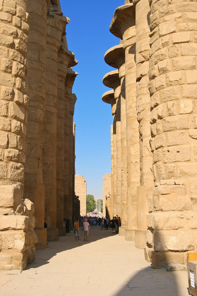 Filar, świątyni Karnak w Egipcie, Afryka - Zdjęcie, obraz