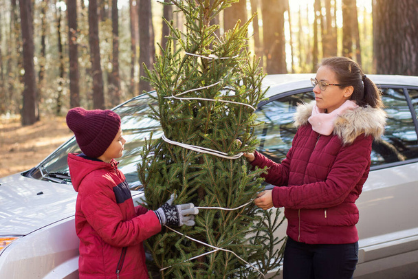 Happy family with christmas tree standing near the car. Brother and sister enjoying magical time together. - Photo, Image