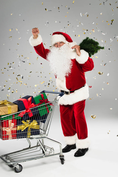 Excited santa claus holding small spruce tree near shopping cart with gifts and confetti on grey background  - Foto, imagen