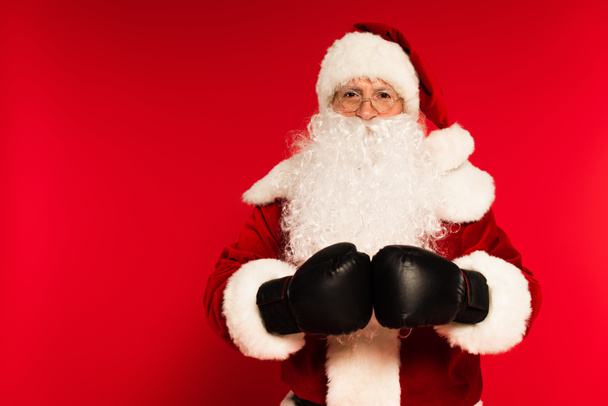 Γενειοφόρος Άγιος Βασίλης σε γάντια πυγμαχίας κοιτάζοντας κάμερα σε κόκκινο φόντο  - Φωτογραφία, εικόνα