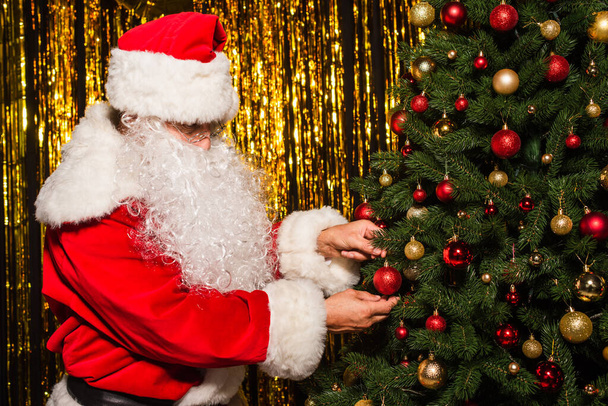 Бородатий Санта Клаус прикрашає ялинку кульками біля мішури
  - Фото, зображення
