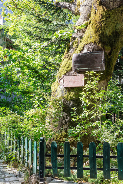 Leere Schilder an einem Baumstamm für SMS oder Werbung. Richtung, Lage in einem Dorfkonzept - Foto, Bild