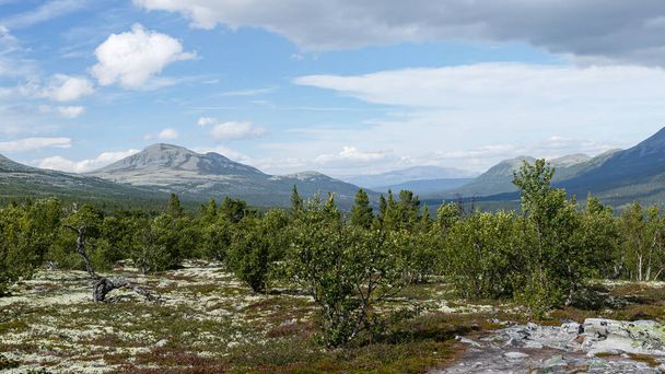 Rondane, established in 1962, is the first national park in Norway. It is renowned for its diverse mountainous region and remarkable landscapes. - Foto, afbeelding