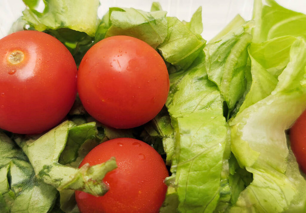 Tomaattisalaatti salaatilla lautasella - Valokuva, kuva