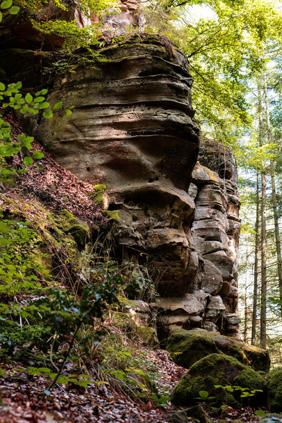 Rock formation and woodland landscape inside the Luxembourg little Switzerland Mullerthal region near the German border. High quality photo - 写真・画像
