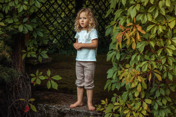 Sad, upset, frightened barefoot little blonde curly girl in casual, standing alone near cell border in bush. Children feelings, expressions and kid safety concept. Abuse and violence, social issues - Fotografie, Obrázek