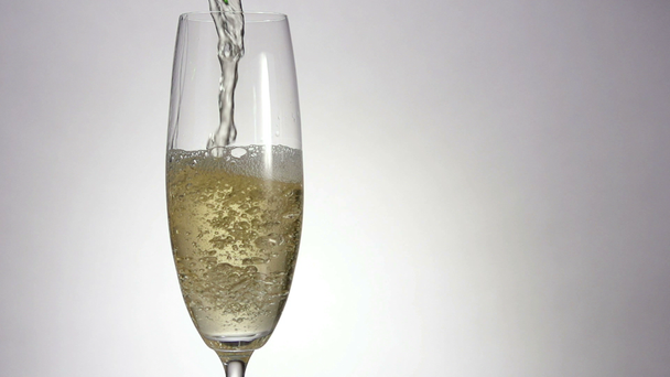 Champagne is pouring in a classic glass - Video, Çekim