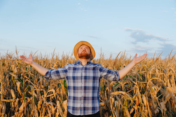 Vista frontal mirando hacia arriba un joven granjero levantó las manos, de pie en un campo con maíz. Fondo cielo despejado y campo de maíz. Foto de alta calidad - Foto, imagen